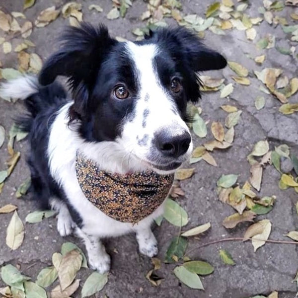 Bandana algodón reversible