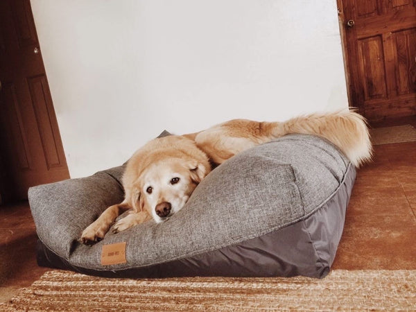 Cama Cozy Nap tapicería gris medio