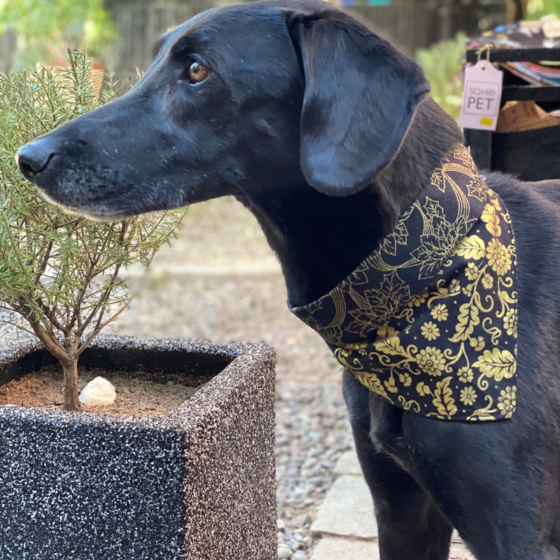 Bandana algodón reversible