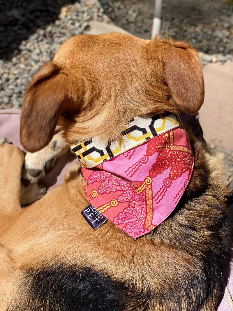 Bandana algodón reversible